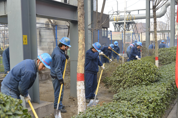 公司共青團系統積極開展學雷鋒活動