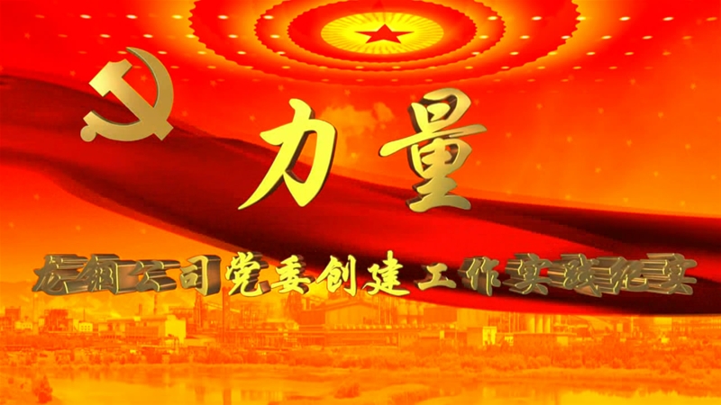 《力量》——龍鋼公司黨委創建工作實踐紀實